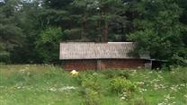 Продается бизнес в Ленобласти